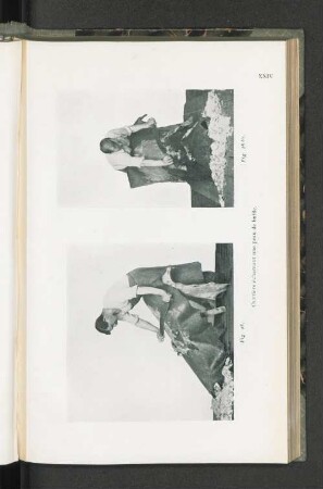 Fig. 28. Fig. 28.