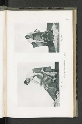 Fig. 28. Fig. 28.