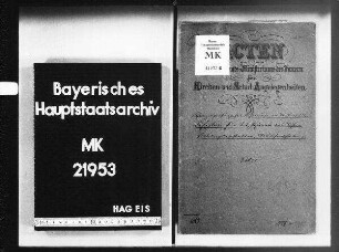 Lehramtsprüfung für Lehrerinnen an Töchterschulen und Lehrplan für die höheren weiblichen Bildungsanstalten, Mädchenschulen usw.
