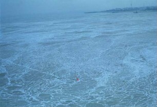 Tonne im Treibeis bei Flut