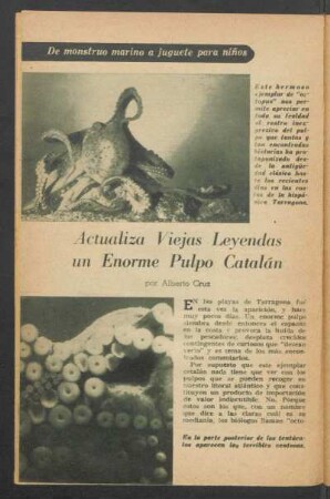 Actualiza viejas leyendas un enorme pulpo catalán : De monstruo marino a juguete para niños