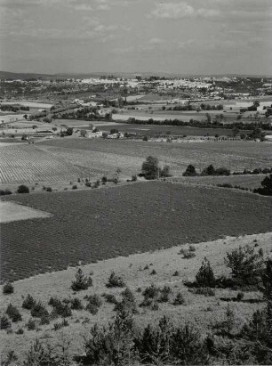 Landschaft mit Lawendelfeldern bei Sault