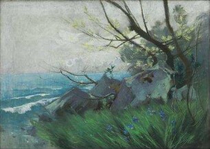 Frühling auf Rügen