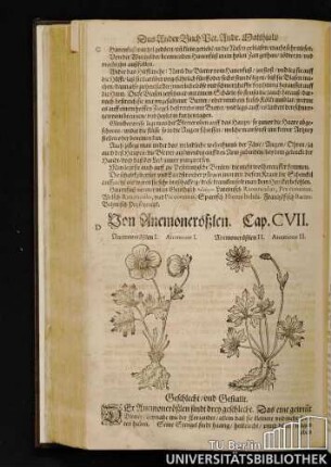 Cap. CVII. Von Anemonerößlen.