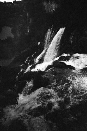 Plitwitzer Seen: Wasserfall hinter Baumstämmen