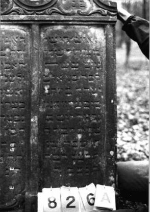 Grabstein 826 (Index: 99751466) Material: Sandstein Zustand: verwittert Maße HxBxT: 142x80x12 cm Beschreibung: Doppelstele, zwei rechteckige Schriftfelder eingetieft Symbolik: Ranken: Grabstein 826A