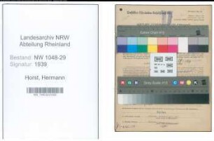 Entnazifizierung Hermann Horst , geb. 01.03.1891 (Beamter)