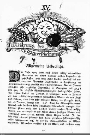 Witterung des Jahres. Naturerscheinungen.