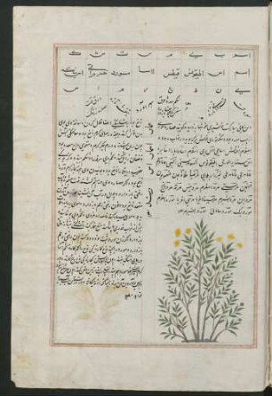 Illustration: f. 1r-22v