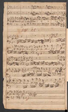 Procris und Cephalus. Einlagen. Arr; V (2), b