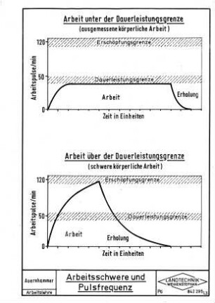 Arbeitsschwere und Pulsfrequenz