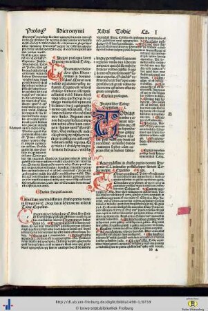 Liber Tobie.