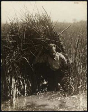 Königswartha, Rudolf Zimmermann mit einem Fotoversteck durch einen Teich wadend