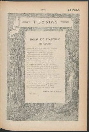 Poesías : Rosa de invierno del natural