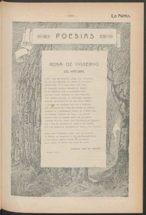 Poesías : Rosa de invierno del natural