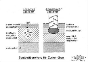 Saatbettbereitung für Zuckerrüben
