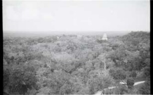 Tikal (TIK)