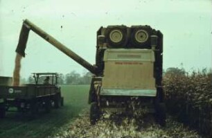 Fotografie: Erntetechnik, Mähdrescher selbstfahrend, Körnermais, Be- und Entladen, Zweiachsanhänger