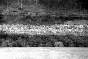 Neudenau Sanierung Stützmauer Rodung Hangwald