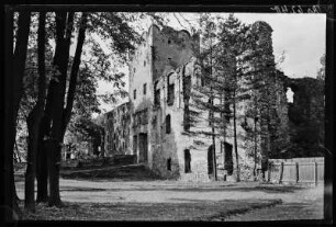 Schloss Frankenstein. Ruine