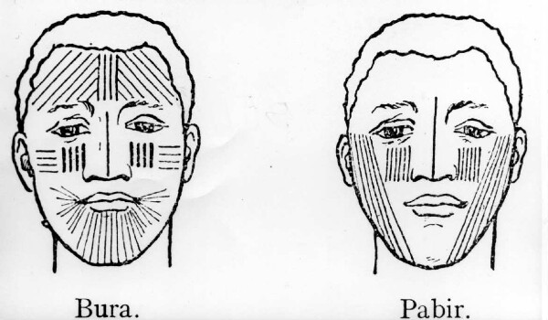 Comparaison des tatouages faciaux des Bura et des Pabir