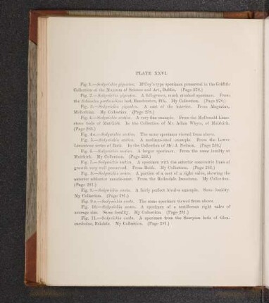 Plate XXVI.