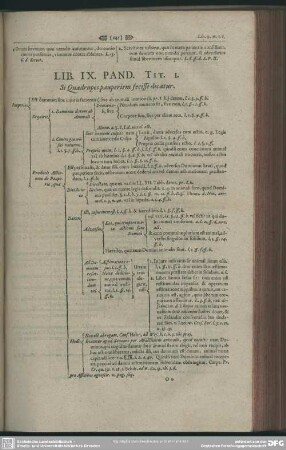 Lib. IX.