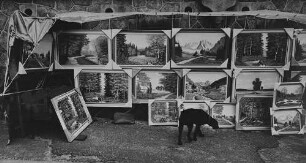 Archivfotografie "motive_tiere_haus_hunde_7728"