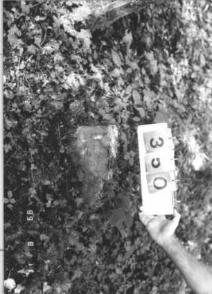 Grabstein 350 (Index: 99799728) Material: Sandstein Zustand: verwittert, Stele abgebrochen Maße HxBxT: 29x41x7 cm Beschreibung: Stelenstumpf, Stele abgebrochen: Grabstein 350