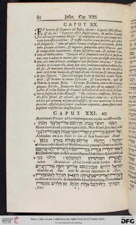 (Caput XXI - XXIV)