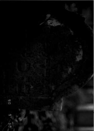 Grabstein 769 (neu: 218): Grabstein 769A (neu: 218)