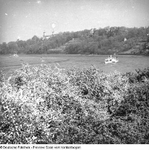 Elbe im Raum Dresden; Elbe Baumblüte Loschwitz