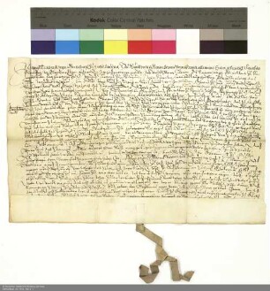 Revers Hans Reinhards von Berlichingen bezüglich der Belehnung mit zwei Vorwerken in Milz und weiteren im Einzelnen aufgeführten Lehen durch Maximilian [III. Erzherzog von Vorderösterreich], kaiserlicher Kommissar des Klosters Fulda