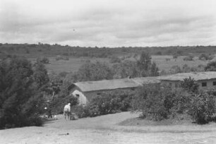 Farm Münch in Himbu : Das Haus der Farm Münch in Himbu.
