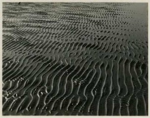 Strukturen im Sandboden, Watt