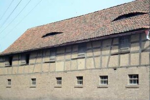 Stall vom ehemaligen Gut, Fledermausgaupen, Schiebeläden