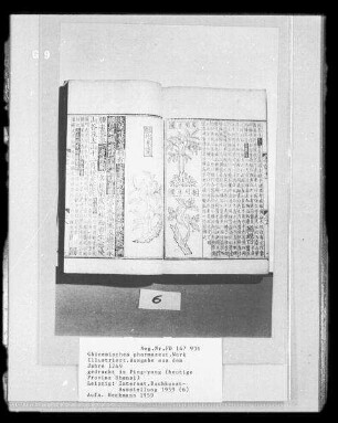 Chinesisches pharmazeutisches Werk, illustrierte Ausgabe