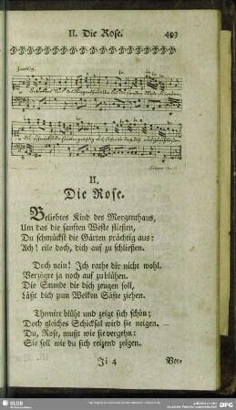 II. Die Rose