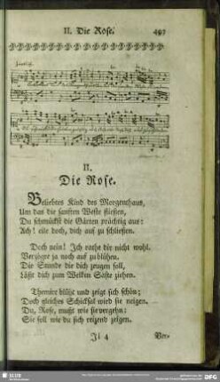 II. Die Rose