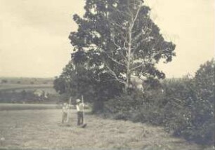 Feldarbeit in der Oberlausitz, Heuernte : Land- und Viehwirtschaft - Ernte und Heueinbringung. Ort: Hornja Łužica / Oberlausitz. Heutrocknen
