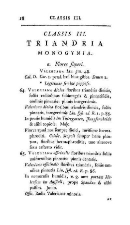 Classis III. Triandria
