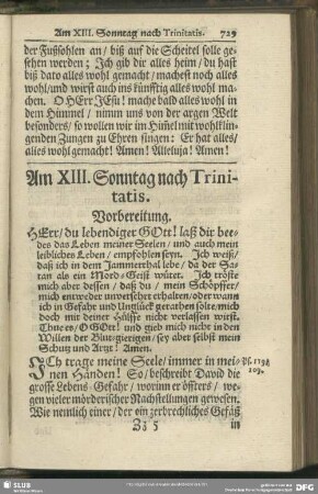 Am XIII. Sonntag nach Trinitatis