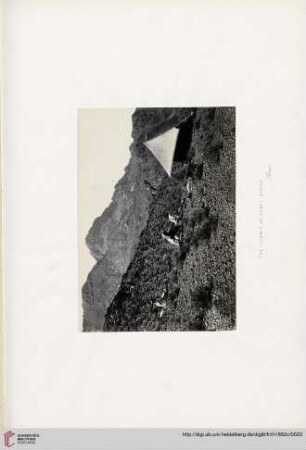 The Summit of Gebel Moosà, Sinai
