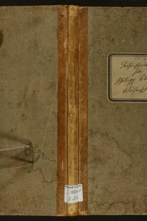 Leichenschaubuch des Leichenschauers Philipp Ott, (Teutschneureut?)