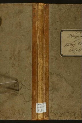 Leichenschaubuch des Leichenschauers Philipp Ott, (Teutschneureut?)