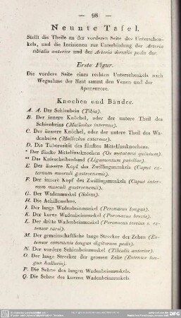 Neunte Tafel. Stellt die Theile an der vorderen Seite des Unterschenkels, und die Incisionen zur Unterbindung der Arteria tibialis anterior und der Arteria dorsalis pedis dar