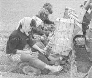 Frauen bei der Feldbestellung mit Gemüsesetzmaschine in der LPG "1. Mai" Wartenberg
