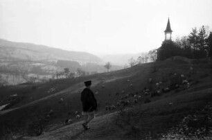 Campulung: Hügelkette mit weidenden Schafen, Hintergrund Kirche, Vordergrund Schäfer