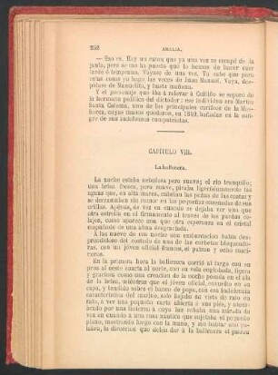 Capítulo VIII. - La ballenera.