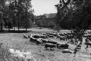 Wilsdruff-Mohorn. Semmelmühle, Ansicht